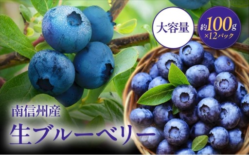 南信州産 生ブルーベリー 約100ｇ × 12パック <2026年6月中旬～順次発送予定>