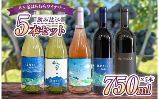 八ヶ岳はらむらワイナリー 飲み比べ 5本セット