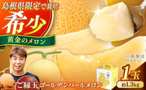 先行予約受付中！黄金のメロン1.3kg🍈