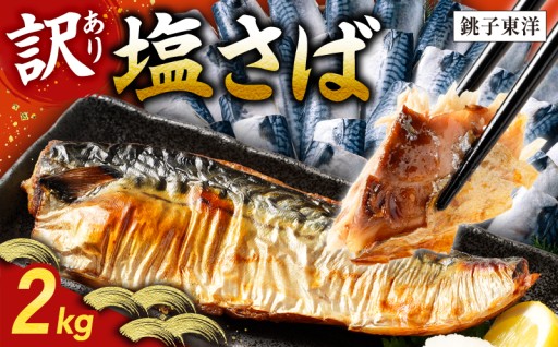 訳あり 塩さば フィーレ 約2kg