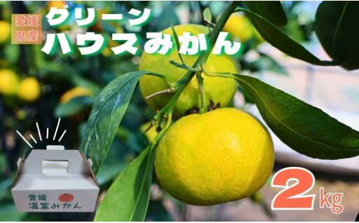 冷やすとさらに美味しい😊グリーンハウスみかん🍊2kg