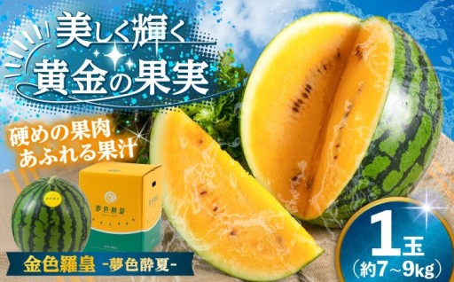 超希少！金色羅皇(こんじきらおう) スイカ 