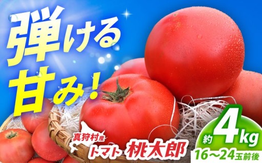 【先行予約】これぞ「本物」！北海道真狩村産トマト