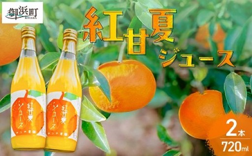 【🍊紅甘夏をジュースで堪能🧡】ゆうや農園の紅甘夏ジュース 720ml×2本🍹