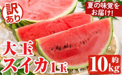 ＜先行予約受付中！2026年6月中旬以降順次発送予定＞訳あり！鹿児島県産 大玉スイカ(1玉・約10kg) 