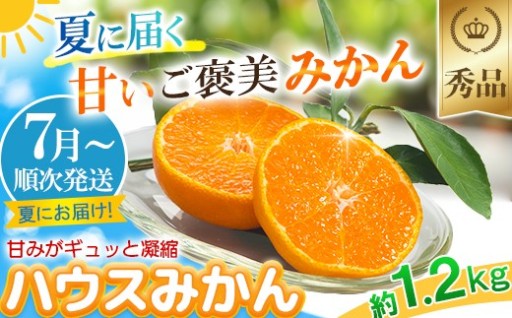 【先行予約】ハウスみかん 秀品 約1.2kg