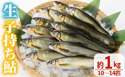 ＜期間限定＞生子持ち鮎(約1kg・10～14匹) 
