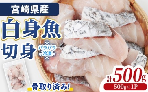 宮崎県産 骨取り 白身魚 ニベ 切身 (計500g)