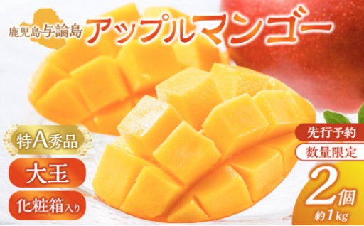 鹿児島 与論島アップルマンゴー特A秀品大玉２個約１キロ 化粧箱入り