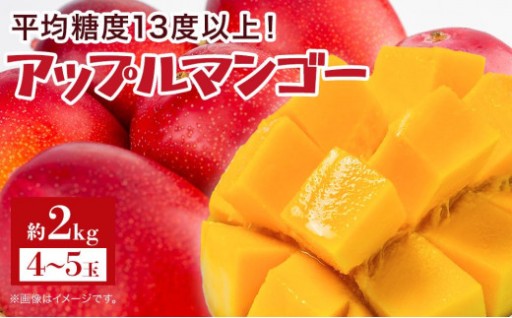 平均糖度13度以上！アップルマンゴー約2kg（4~5玉）