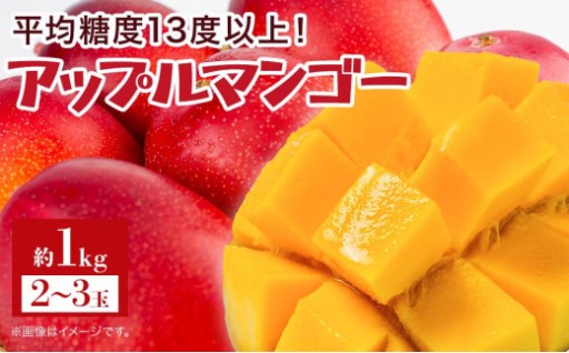 平均糖度13度以上！アップルマンゴー約2kg（4~5玉）