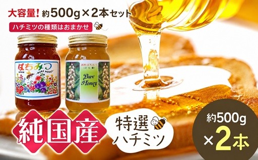 芳川養蜂場特選ハチミツ 約500g × 2本セット