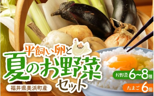 【旬の味】安心安全な季節野菜＆純国産鶏たまご🥚🥬