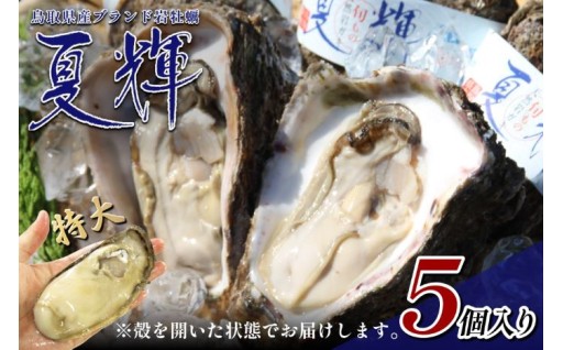 鳥取県産天然岩ガキ『夏輝（なつき）』解禁！