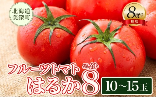 糖度8度以上 フルーツトマト はるか8（エイト） 10～15玉