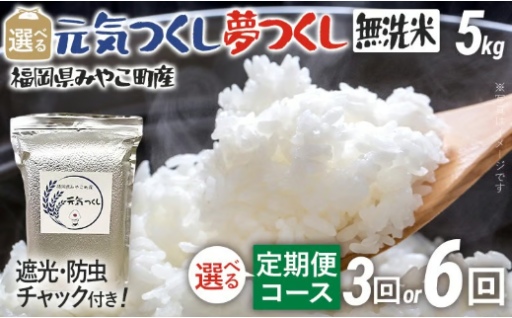 【今期受付開始🔔！】定期便 無洗米 令和8年産 選べる 元気つくし 夢つくし 5kg 3回 6回 