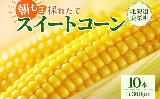 朝採り！とうもろこし10本