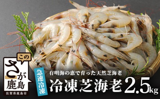 冷凍 芝エビ 2.5kg (500g×5)  天然 冷凍エビ 海老のから揚げ B-357