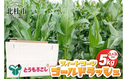 【2026年先行予約】スィートコーン・ゴールドラッシュ 2L&3L
