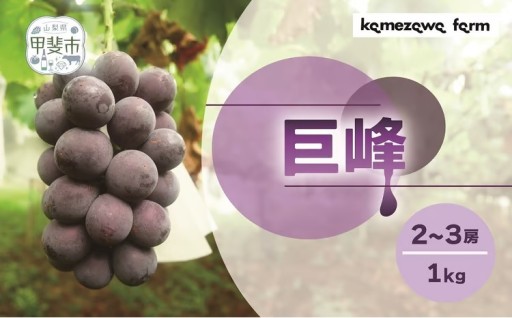 山梨県甲斐市産　巨峰　約1㎏ DG-4