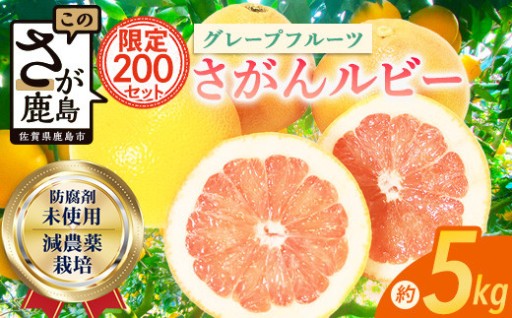 数量限定 在庫限り グレープフルーツ 国産 「さがんルビー」 約5kg 防腐剤不使用