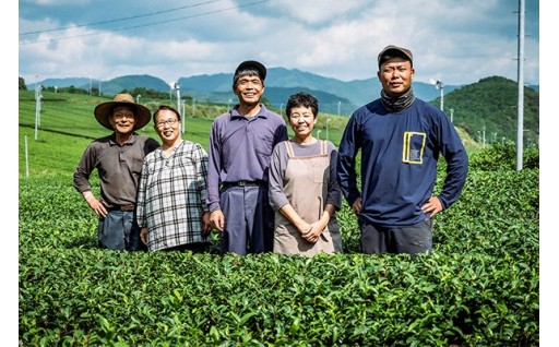 ニ億五千万年前の地層で育てた土佐茶あります！