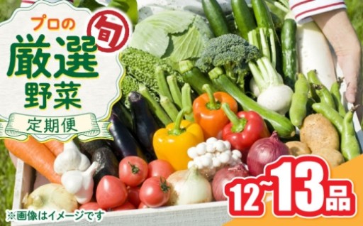 【野菜定期便】野菜のプロが選ぶ 旬の野菜セット 12～13品目