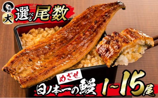 【丑の日までに配送】【尾数が選べる！】うなぎ生産量日本一の鹿児島県産！日ノ本一の鰻の蒲焼き＜大＞1尾～15尾！