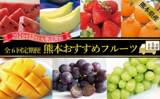 【年6回定期便】 熊本おすすめフルーツ定期便
