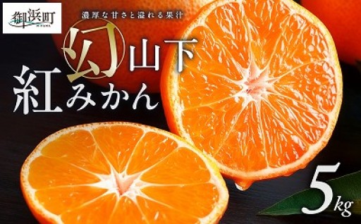 【市場に出回らない幻のみかん🍊👻】辻本農園の山下紅みかん5キロ