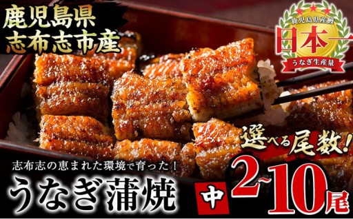 【丑の日までに配送】【尾数が選べる！】鹿児島県産 うなぎの大楠＜中＞2尾～10尾
