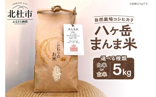 【令和7年度米】八ヶ岳 まんま米 選べる 白米/玄米 5kg