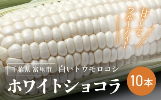 輝くような白さが特徴の「ホワイトショコラ」富里産 白いトウモロコシ5本