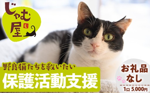 ≪お礼品なし≫保護猫 活動支援(1口：5,000円)