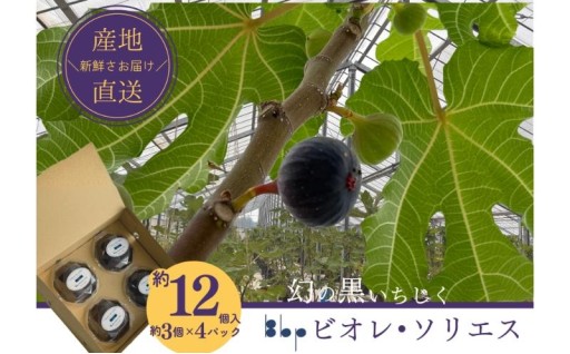 ビオレ・ソリエス 約12個入り（約3個×4パック）