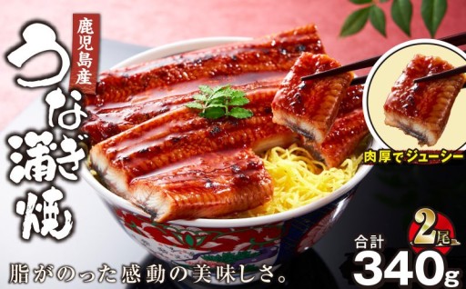 脂がのった感動の美味しさ✨鹿児島産うなぎ蒲焼2尾をご紹介💁‍♀️