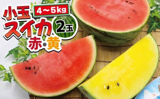 小玉スイカ（赤・黄）2玉（計4～5kg）