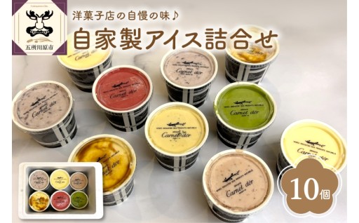 🍨アイス　10個セット（全7種）【アイスクリーム 詰め合わせセット】🍨