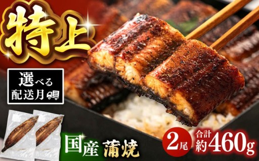 鹿児島産 うなぎ 蒲焼 2尾セット