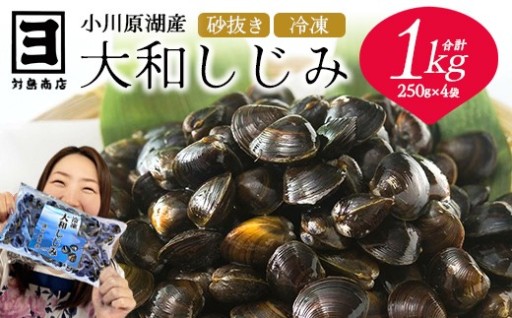 砂抜き済！冷凍・小川原湖産大和しじみ 1kg