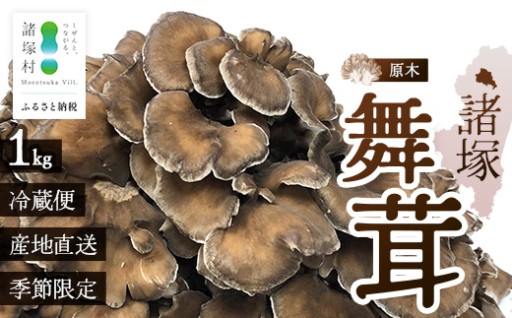 【先行予約】宮崎県諸塚村産 原木舞茸 1kg
