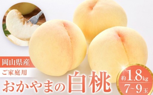 おかやまの白桃1.8kg 7～9玉（ご家庭用）