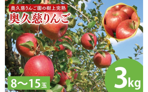 【先行予約🍎】樹上完熟！贅沢奥久慈りんご3㎏