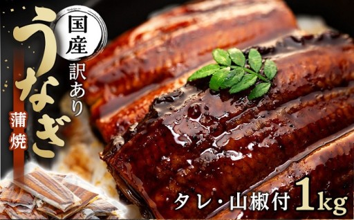 丑の日までにお届け 訳あり 国産 うなぎ計1kg