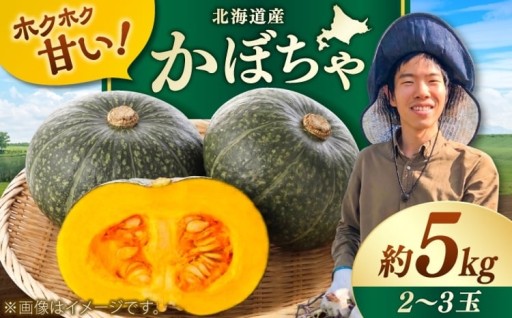 【新登場】先行予約！北海道美唄産こだわりかぼちゃ
