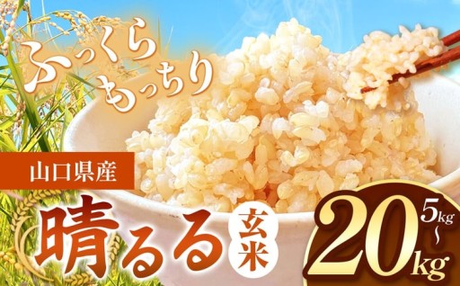 令和8年度産 新米 晴るる 玄米 先行予約