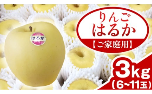 先行予約！りんご「はるか」約3kg（6～11玉）