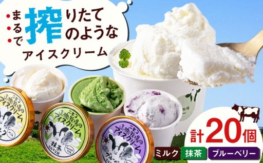 🐄北海道の恵み！贅沢なカップアイス20個セット
