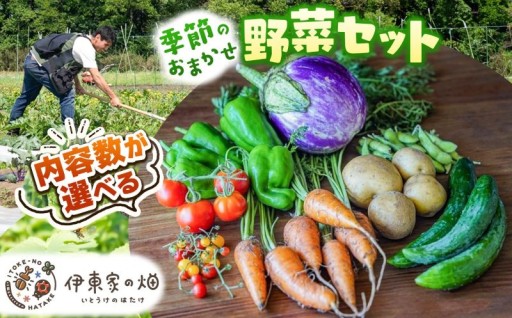 🍅何が届くかお楽しみ♪下野市産 野菜セット🍅