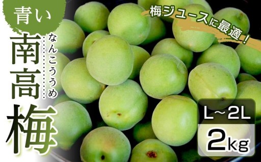 青い南高梅 2kg L〜2L寸  